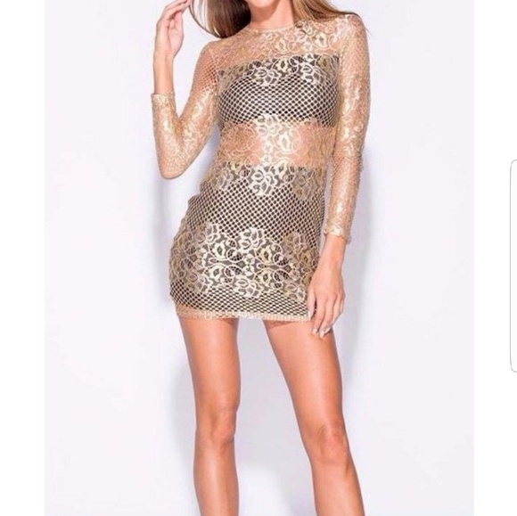 Metallic Lace Paneled Bodycon Dress - Picture 3 of 5